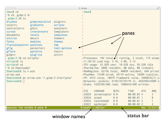 tmux Screen Shot
