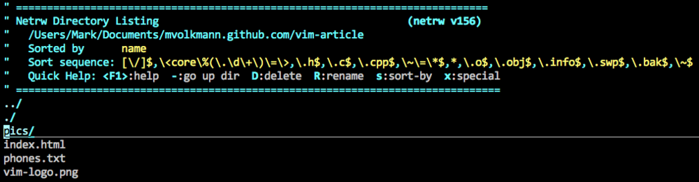 screenshot of the netrw explorer