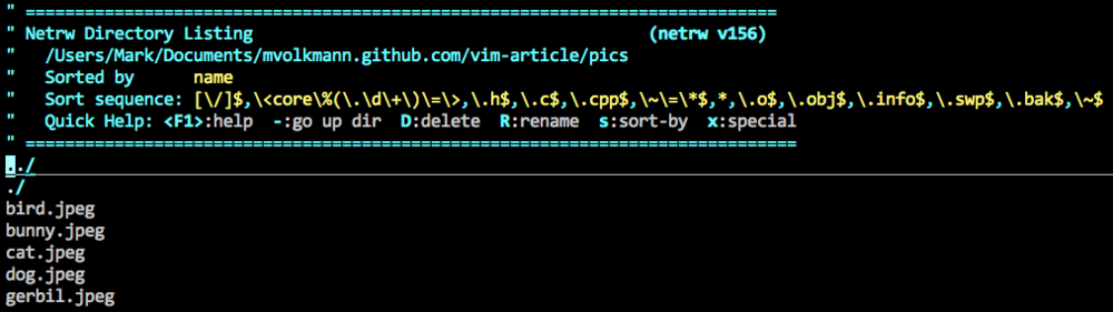files and directories within a directory