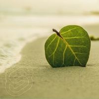 Web Development with Mark Volkmann | Svelte Reimagined